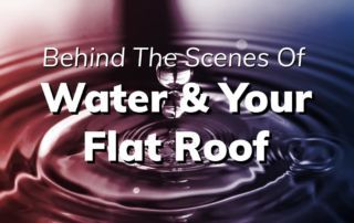 Behind The Scenes Of Water And Your Flat Roof