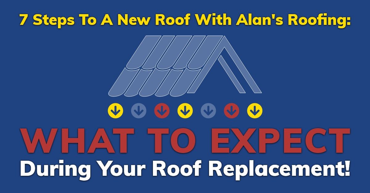 BLOG Alans expect