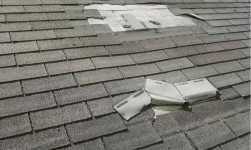 canva missing shingles