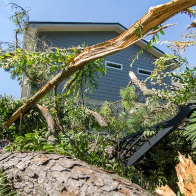 Storm damaged tree in front of a house